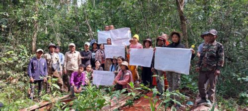 Youth and Forest