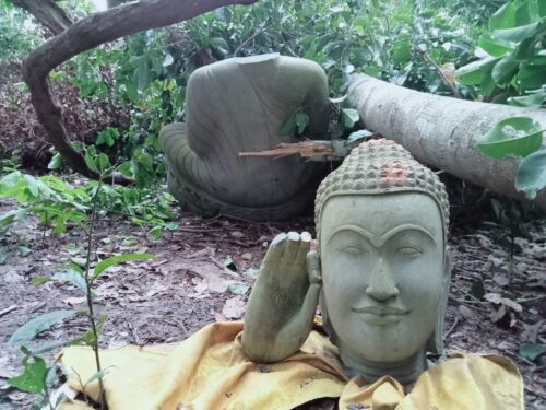 រូបព្រះពុទ្ធបដិមា ដែលប្រជាសហគមន៍អះអាងថា បានបាក់បែកដាច់ព្រះកេស ដាច់ព្រះហស្ថ ដោយសារមានក្រុមជនល្មើសចូលទៅកាប់ឈើនៅតំបន់ព្រៃមេត្តាធម្មជាតិបណ្តាលឱ្យដើមឈើបាក់រលំលើកាលពីថ្ងៃទី២៣ ខែកញ្ញា ឆ្នាំ២០២២។ (ហ្វេសប៊ុក Metta Forest)