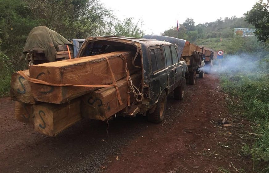 កំនាត់ឈើក្រោយពេលកាប់ (រូបភាព៖ ហ្វេសប៊ុក Phorn Sophal)