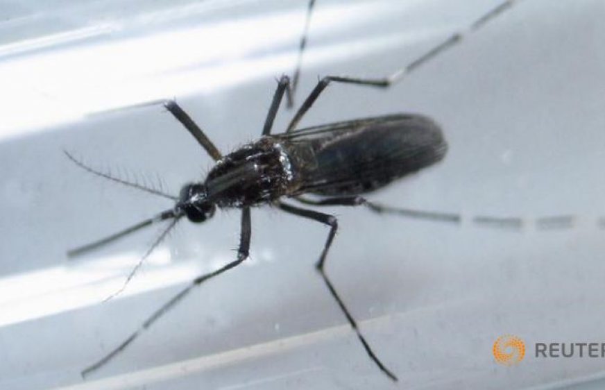 161028-vod-meta-g-health-myanmar-confirms-first-case-of-zika-virus