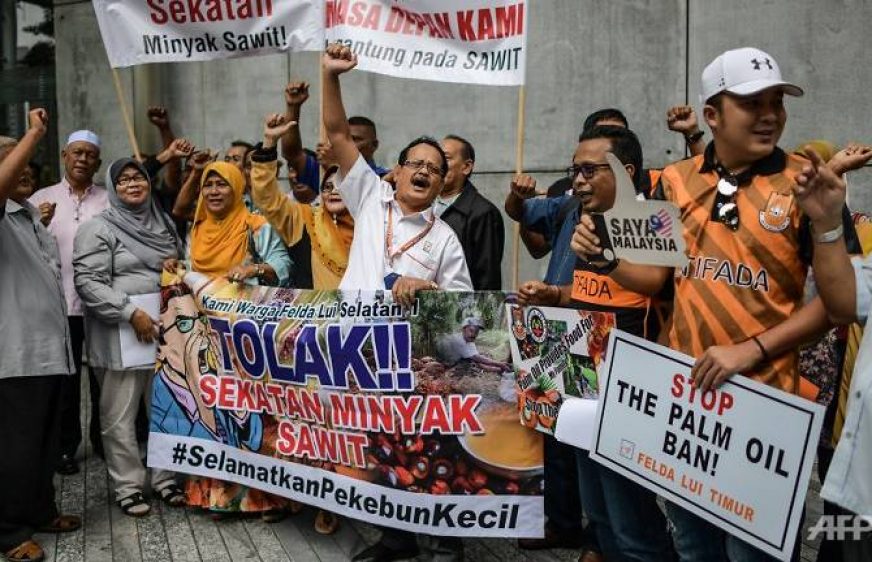 180117-vod-meta-g-eco-farmer-at-indonesia-protest