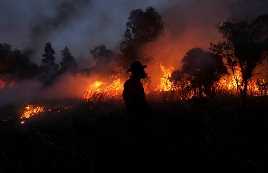 180222-vod-meta-g-en-fire-forest-at-indonesia-alert