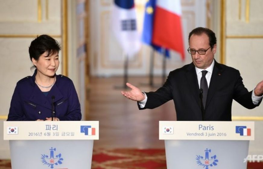 ប្រធានាធិបតី​បារាំង លោក ហ្វ្រង់​ស័រ ហូ​ឡង់(ស្តាំ)​និង​ប្រធានាធិបតី​កូរ៉េខាងត្បូង លោកស្រី Park Geun-hye(រូបភាពពី​ទីភ្នាក់ងារ​ព័ត៌មាន AFP)