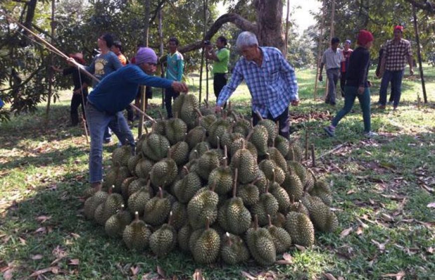 (រូបភាពពី ​បាងកកប៉ុស្តិ៍)