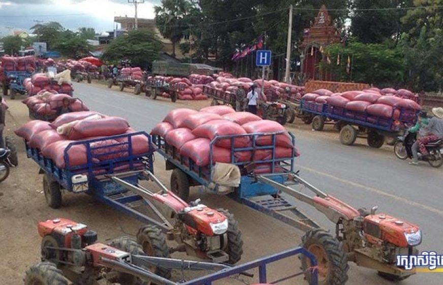 កសិករ​ប្រមូលផ្ដុំគ្នា​បិទផ្លូវតវ៉ាជុំវិញការធ្លាក់ចុះតម្លៃស្រូវ (រូបថត៖ បូ សាវី)