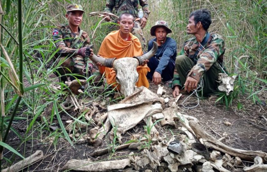 រូបភាព៖ (ហ្វេសប៊ុក Monk’s Community Forestry Cambodia)