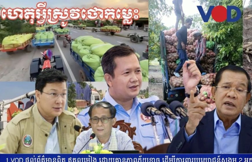 ការផលិតគ្មានកិច្ចសន្យា​ជាមុន​ធ្វើឱ្យកសិករ​ជាប់​អន្ទាក់​បំណុល​វណ្ឌក​តជំនាន់