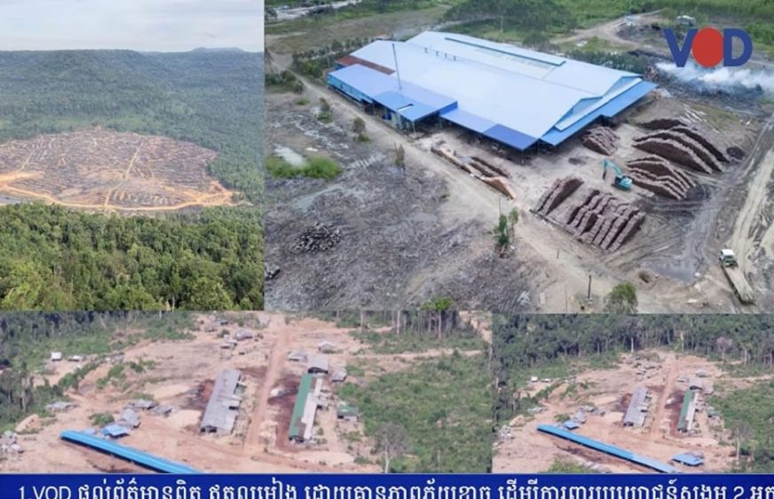 ម៉ុងហ្គាបេ​រក​ឃើញ​ពី​ហានិ​ភ័យ​ធន​ធាន​រ៉ៃ​និង​​ព្រៃ​ឈើ​នៅខេត្ត​ក្រចេះ​ក្រោម​គម្រោង​ផ្តល់​ដី​៩៩​ហិកតា