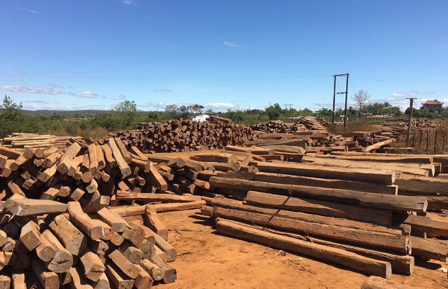 Cambodian logs in yard of Son Dong Company, Gia Lai Province, Vietnam, March 2017 (c) EIA
