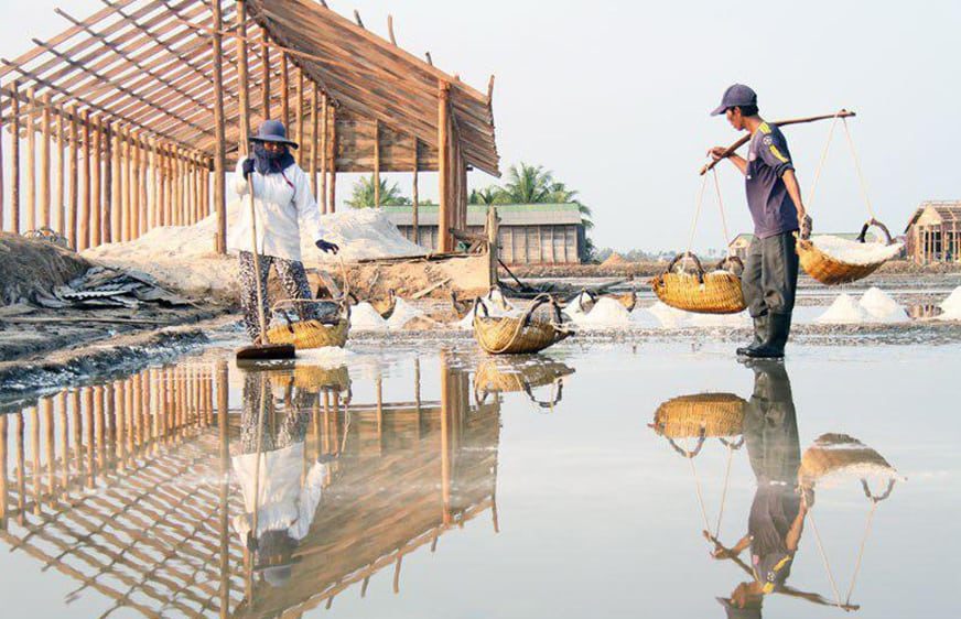 កសិករប្រមូលអំបិល (រូបភាព៖ បណ្ដាញសង្គម)