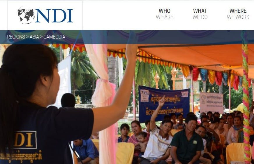 Screenshot of NDI website